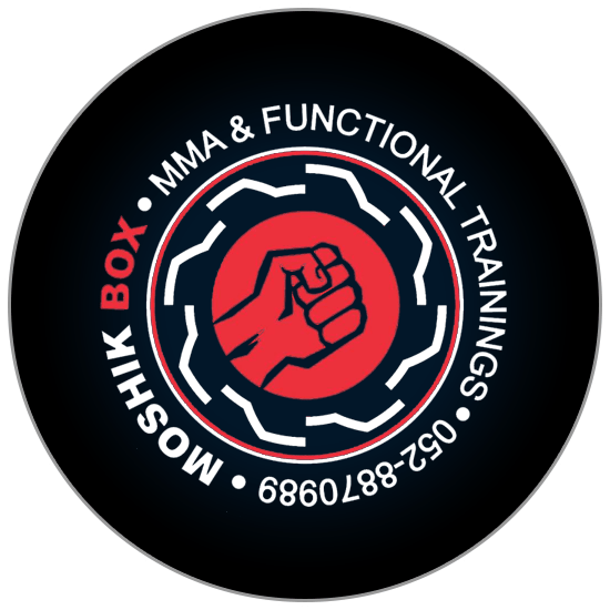 Moshik Box - MMA Functional Training