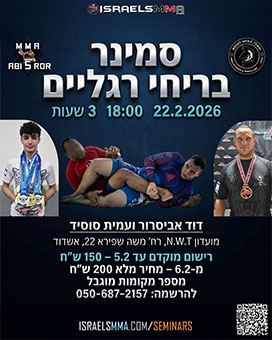 MMA Seminar - 22-02-26 - דוד אביסרור ועמית סוסיד